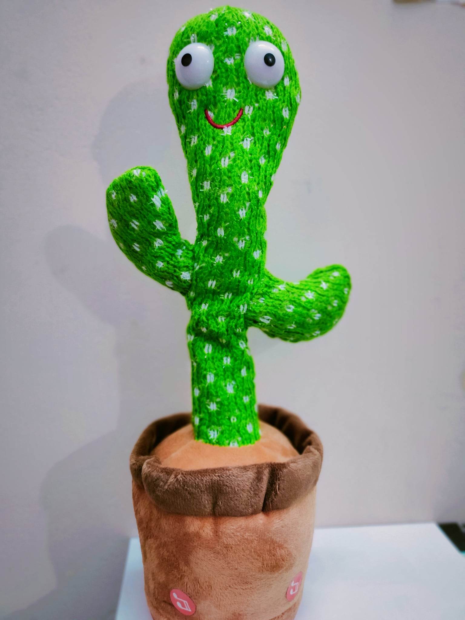 Talking Cactus Doll
